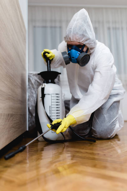 Reliable Santa Rosa, NM Pest Control Solutions